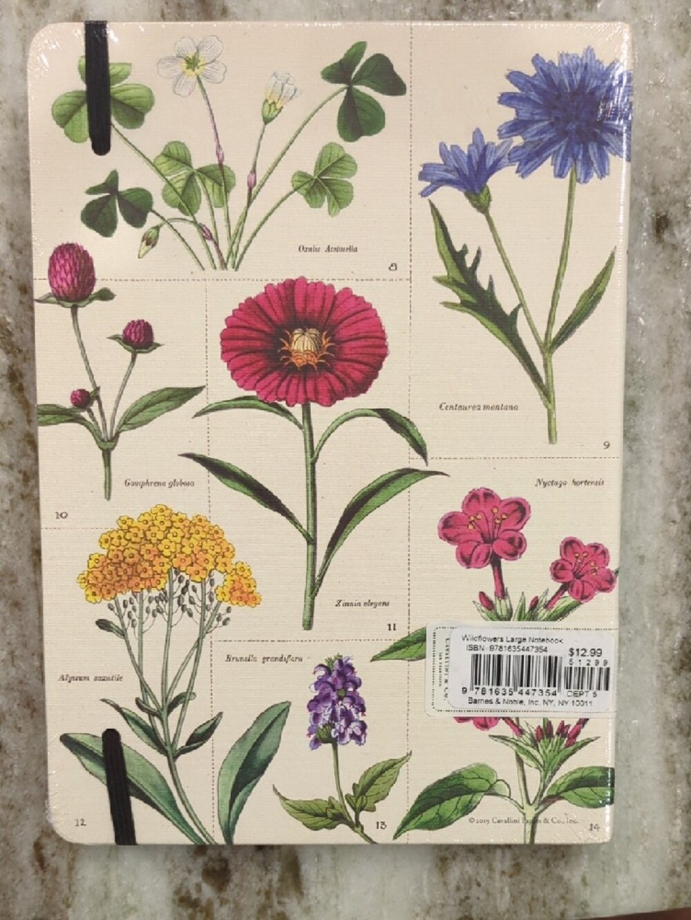 Barnes & Noble Floral Notebook – Pink and Green Botanical Cover - Picture 2 of 5